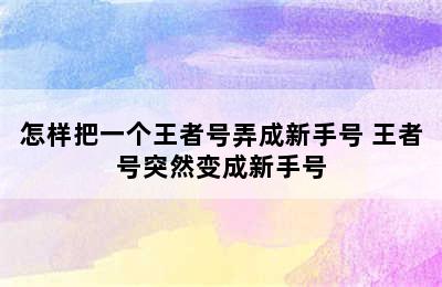 怎样把一个王者号弄成新手号 王者号突然变成新手号